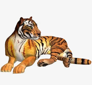 趴着的老虎免扣图片免抠