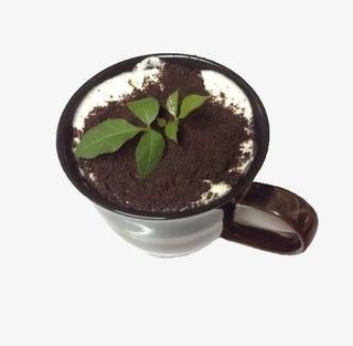 盆栽样式的创意奶茶免抠