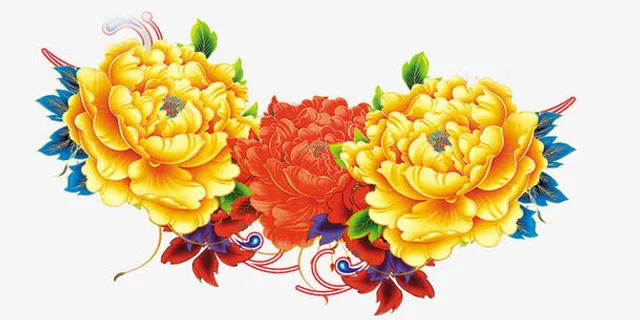 牡丹免抠 牡丹免抠