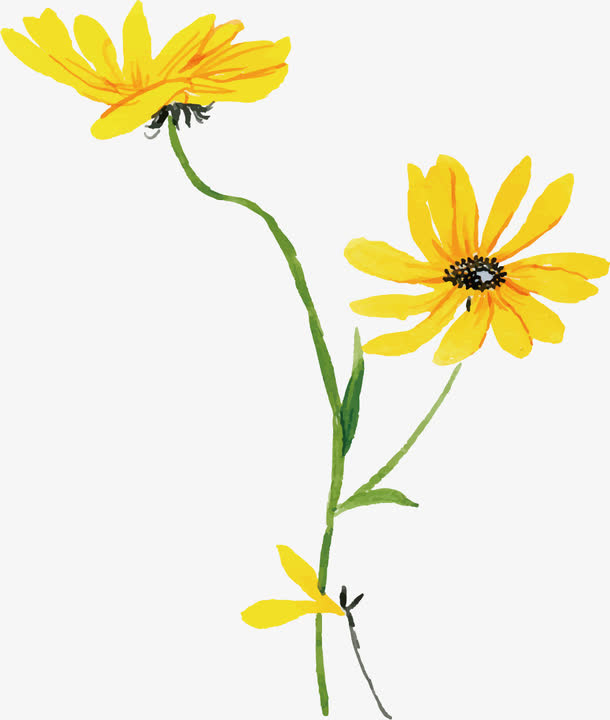手绘小黄花免抠