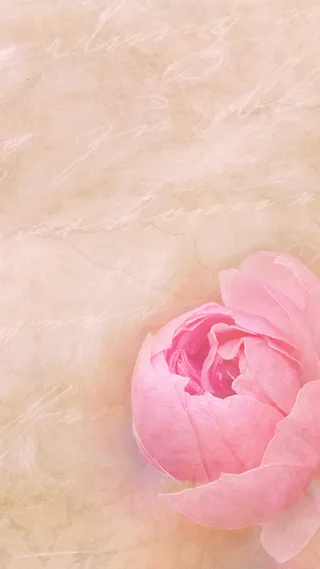 温馨而又清丽的花H5背景高清