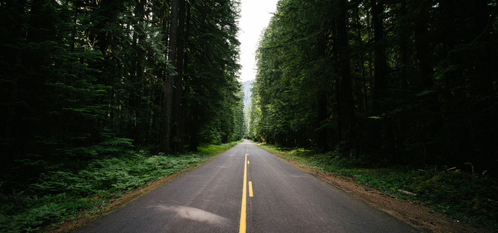 林间公路背景图高清