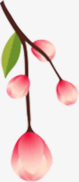 春天桃花盛开元素免抠