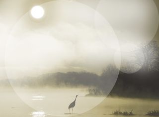 中国风国画海报展板背景素材高清