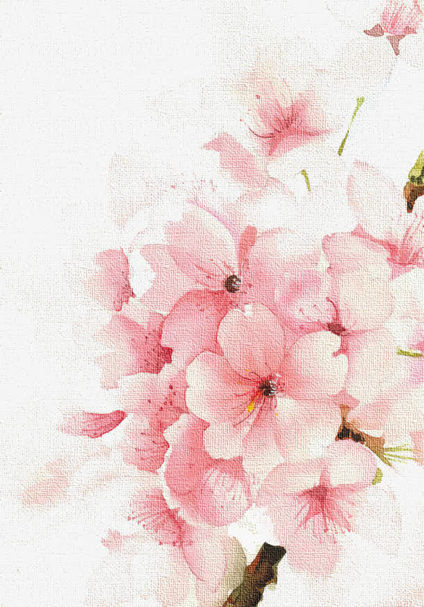 樱花免抠