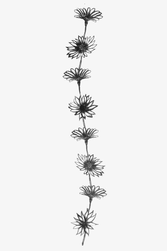花色花朵免抠