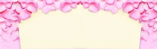 花瓣背景海报高清