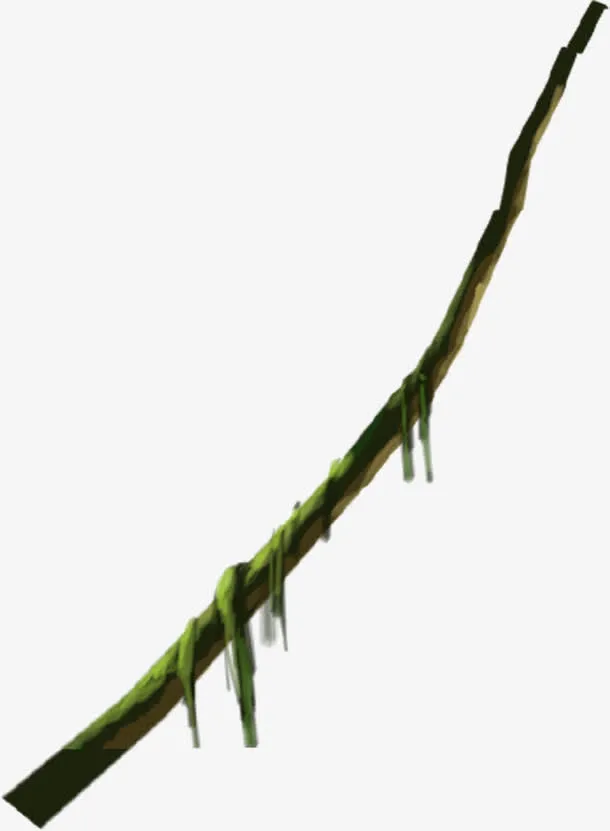 手绘树枝展板素材免抠