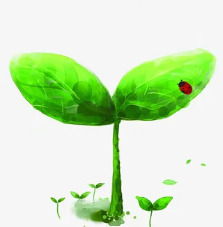 创意合成小树苗七星瓢虫免抠