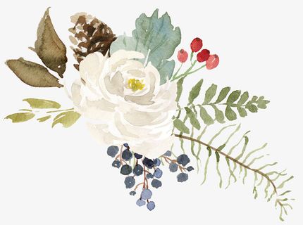 白色花卉水彩花朵免抠