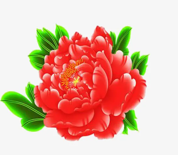 牡丹花开免抠