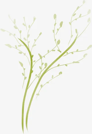 手绘树枝免抠