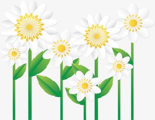 精美白色春天花丛免抠