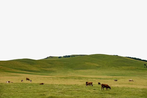 绿色清新自然风光旅游塞外免抠图免抠