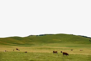 绿色清新自然风光旅游塞外免抠图免抠