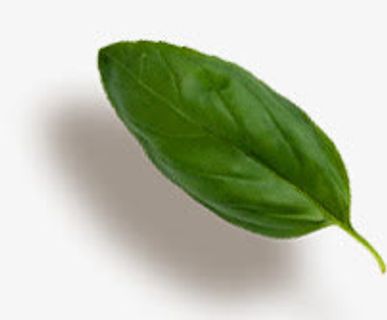 彩绘绿叶春天免抠漂浮叶子元素