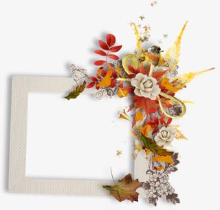 鲜花白色相框免抠