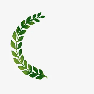 橄榄叶彩绘绿叶装饰免抠