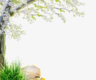 春天花草树木元素免抠动植物植物元素