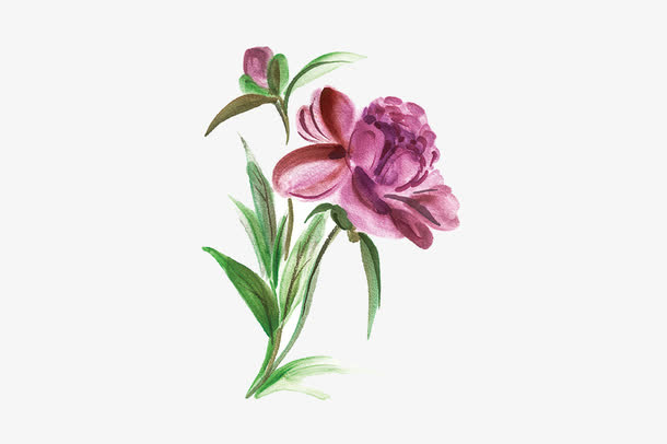 手绘鲜花免抠
