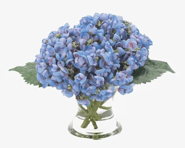 绿叶紫花植物盆栽png免抠