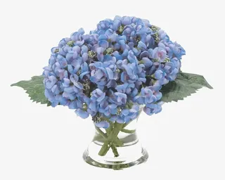 绿叶紫花植物盆栽png免抠