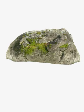 长满青苔石头免抠