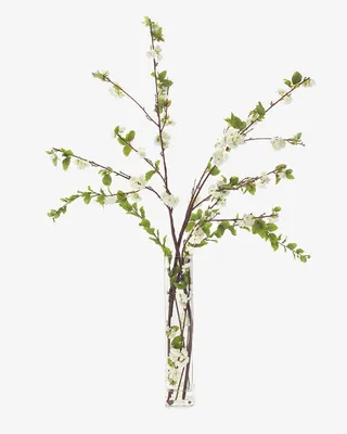 艺术造型 插花花艺免抠