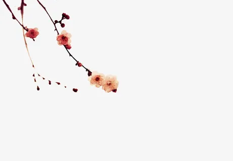 一枝红杏出墙来免抠