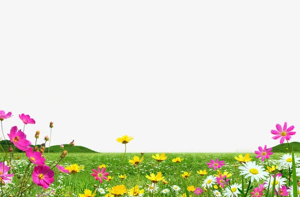 草地花园免抠