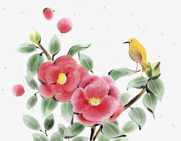 山茶花墨水洗插画免抠