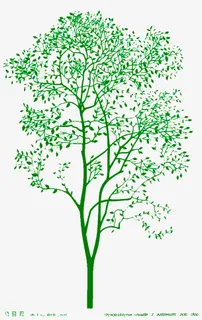 刚刚发绿免抠 刚刚发绿免抠