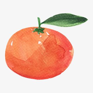 卡通手绘水果装饰海报设计橘子免抠