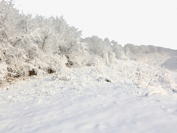 冰天雪地免抠