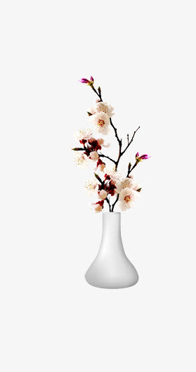 一瓶梅花免抠