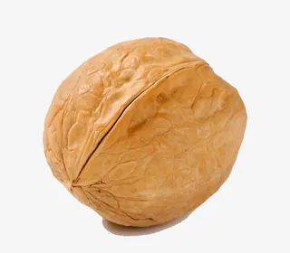 薄皮核桃特写免抠