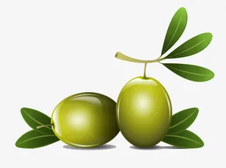手绘橄榄果橄榄免抠