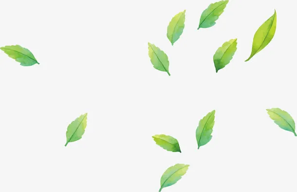 手绘漂浮叶子免抠