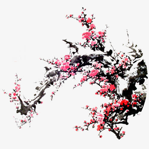 古松雪梅免抠