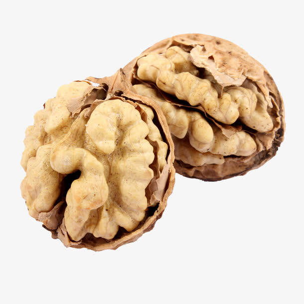 纸皮核桃图片免抠