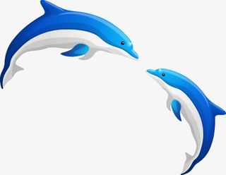 情侣海豚七夕情人节免抠