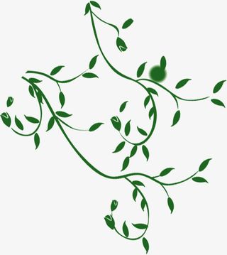 绿色浪漫春意绿叶树枝免抠