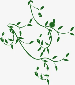 绿色浪漫春意绿叶树枝免抠