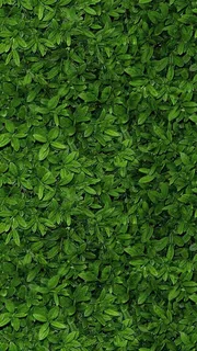 绿色H5背景素材高清 绿色H5背景素材高清