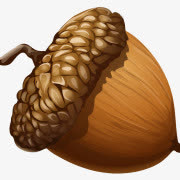 松果免抠