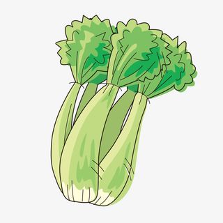 芹菜大叶子免抠