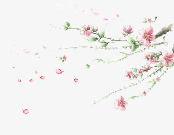 墙角梅花免抠