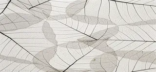 树叶底纹展示背景高清图片高清