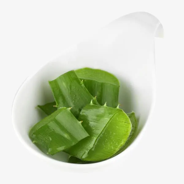 小碗里的芦荟叶子免抠