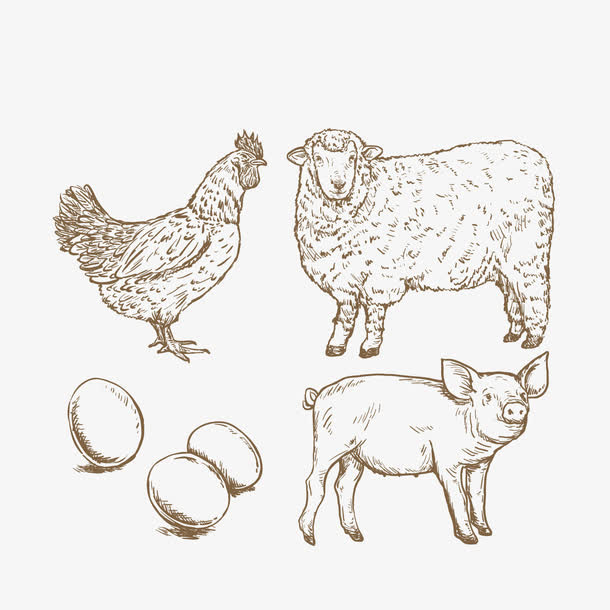 矢量农场公鸡免抠